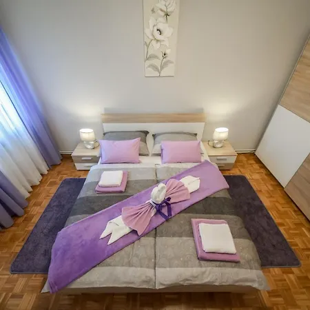 Magnolia Zadar